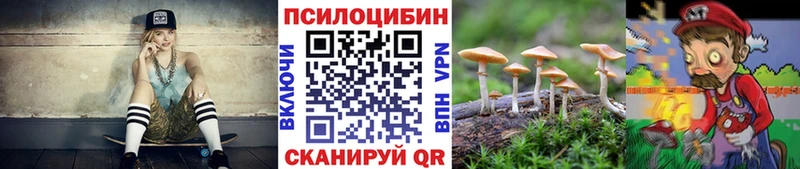 Галлюциногенные грибы ЛСД  купить  сайты  ОМГ ОМГ маркетплейс  Верхняя Тура 